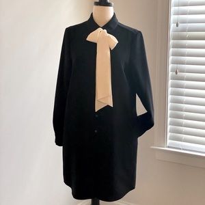 Kate Spade Shirt Dress